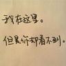 偷心俏冤家